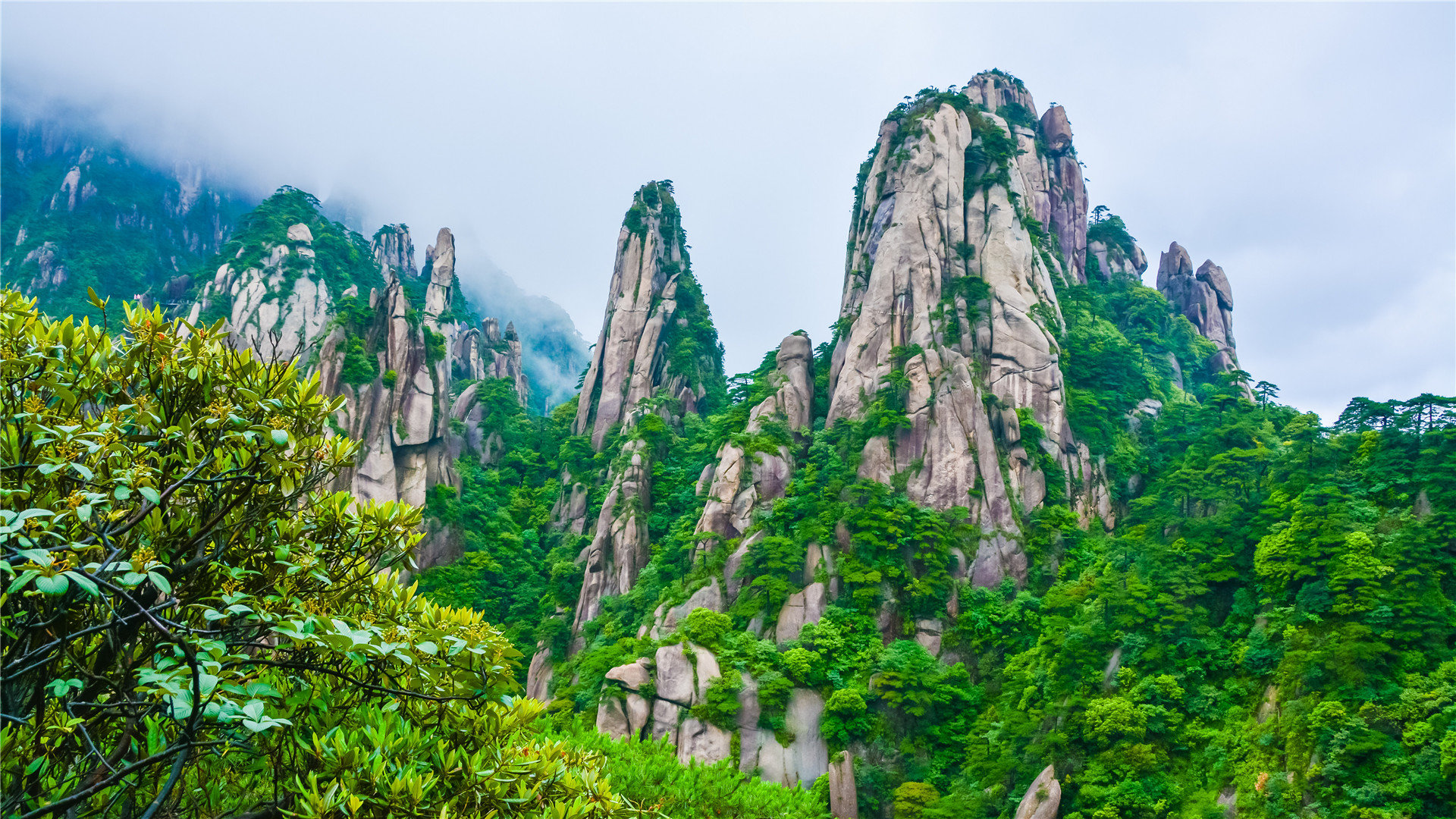 网红商城